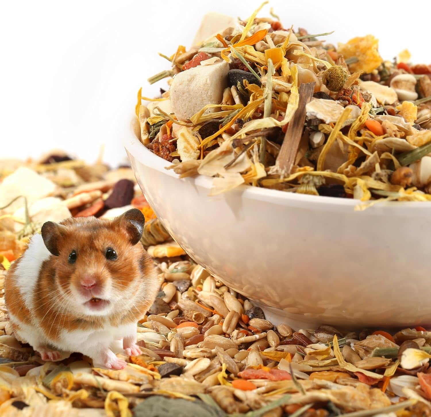 abizoo-hamster-gerbil-treat-natural-health-gourmet-hamster-and-gerbil-food-for-small-animals-with-seeds-and-grains-vitamin-nutrient-fortified