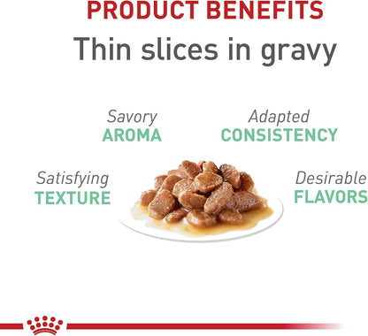 ROYAL CANIN Feline Care Nutrition Digestive Care Adult Thin Slices in Gravy Cat Food, 3 Oz (Pack of 24)5