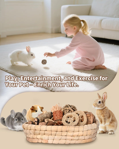 31PCS Rabbit Chew Treat Toys for Teeth Health, Natural Bunny Enrichment Toys for Boredom & Stress Relief, Keep Busy Toys for Guinea Pig Chinchilla Hamster Rat Gerbil Degu Indoor Outdoor7