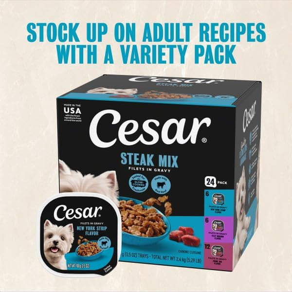 Cesar Filets in Gravy Wet Dog Food, Steak Mix Variety, 3.5 Oz, 24 Count | Filet Mignon, New York Strip & Prime Rib, Real Meat, Slow-Cooked, No Fillers/Added Sugar/Artificial Flavors, Easy Peel Trays13