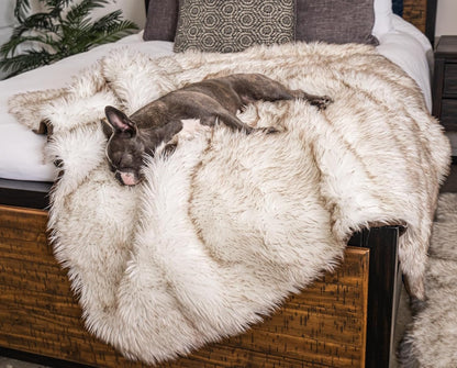 PAW BRANDS Pupprotector Waterproof Throw Blanket, White/Brown, 60X50 | Waterproof, Machine Washable — Protects Couches, Beds & Car Seats1