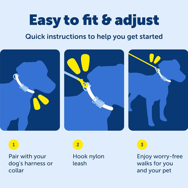 Petsafe Nylon Dog Leash - Strong, Durable, Traditional Style Leash with Easy to Use Bolt Snap - 3/8 In. X 6 Ft., Black | Durable Nylon Leash with Easy On/Off Bolt Snap Hook, Pairs Perfectly with Easy Walk Harness and Gentle Leader Headcollar6