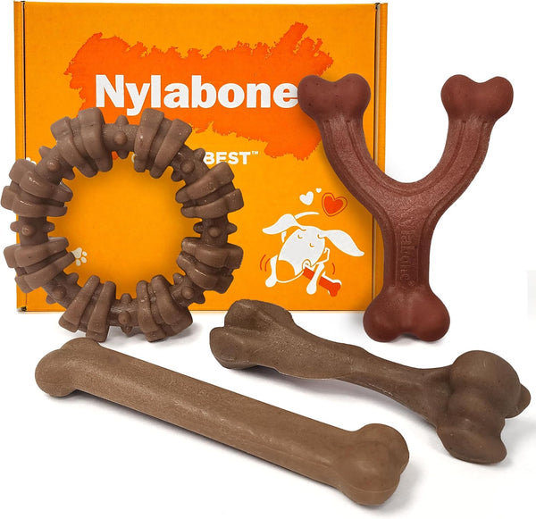 Nylabone Strong Chew Ring Dog Chew Toy Made with Real Beef & Chicken | X-Large Breeds, Durable, Long-Lasting Dog Bone, Textures Help Clean Teeth, Keeps Dogs Busy, for Dogs 50+ Lbs16