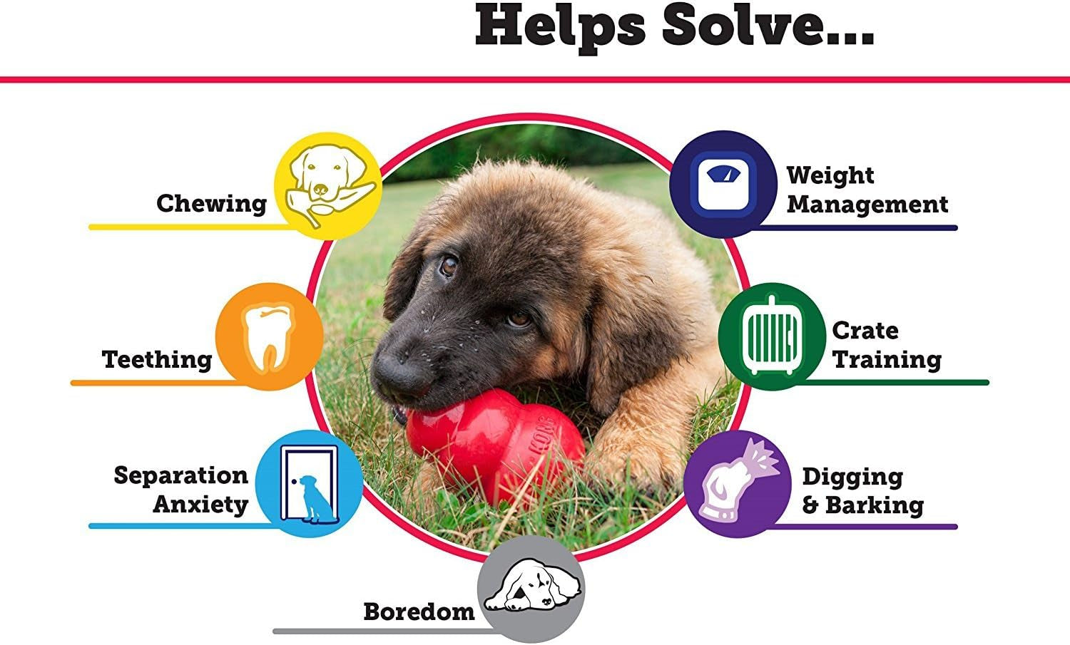 2-pack-large-kong-classic