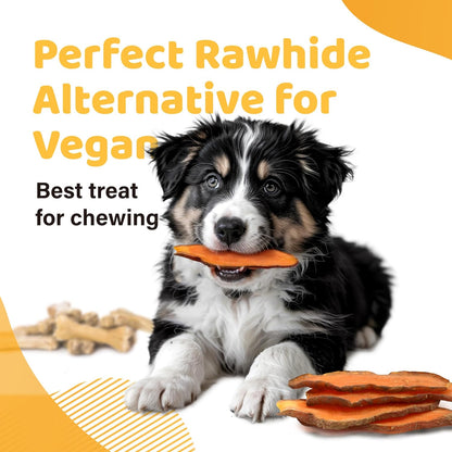 Ipaw Sweet Potato Dog Treats, Sqf-Certified Production Process Dog Chew | Human Grade, Single Ingredient, Rawhide Alternative Dog Treats for Vegetarian, Hypoallergenic, Easy to Digest5