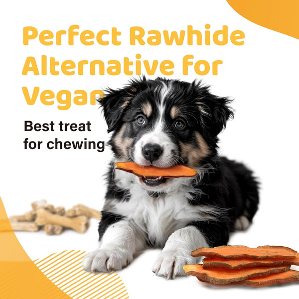 Ipaw Sweet Potato Dog Treats, Sqf-Certified Production Process Dog Chew | Human Grade, Single Ingredient, Rawhide Alternative Dog Treats for Vegetarian, Hypoallergenic, Easy to Digest5