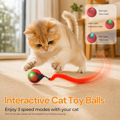 Interactive Cat Toys with Bird Sounds & 3 Speed Modes for Indoor Cats Play | Bird Sounds, 3 Speed Modes, Rechargeable Automatic Rolling, 3 Tails, Fast Charging Ball, for Indoor Cats on Hard Floor Carpet2