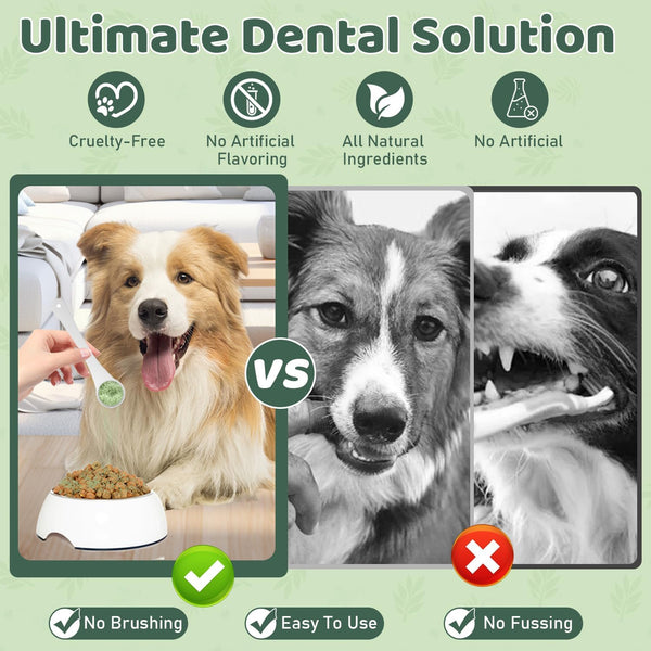 Dog Teeth Cleaning Powder, Dog Dental Powder, Dog Dental Care, Targets Tartar & Bad Breath & Reduces Plaque, Dental Powder for Dog Teeth Cleaning, Green5