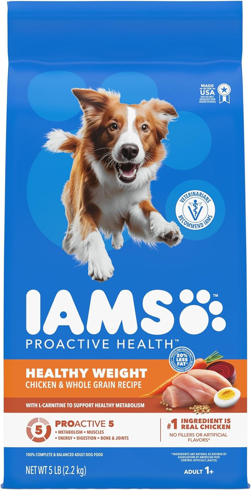 iams-proactive-health-healthy-weight-dry-dog-food-chicken-29-1-lb-real-chicken-1-ingredient-l-carnitine-for-metabolism-strong-muscles-no-fillers-or-artificial-flavors-vet-recommended