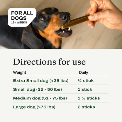 Petlab Co. Dental Sticks – Dog Dental Chews -Target Plaque & Tartar Build-Up at the Source - Designed to Maintain Your Dog’S Oral Health, Keep Breath Fresh and Provide Digestive Help (24 Sticks) | Ridged Texture with Chicory Root Prebiotic and Peppermint to Support Tartar Removal, Digestion and Fresh Breath5