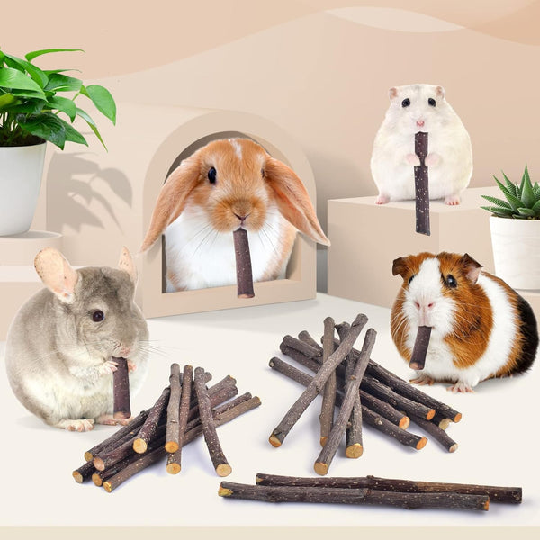 Bissap Apple Sticks for Rabbits, Natural Bunny Chew Toys and Treats for Chinchilla Guinea Pig Hamster Gerbil Small Animals Pet Apple Wood Stick Toys Teeth Grinding (230G/8.1Oz)4