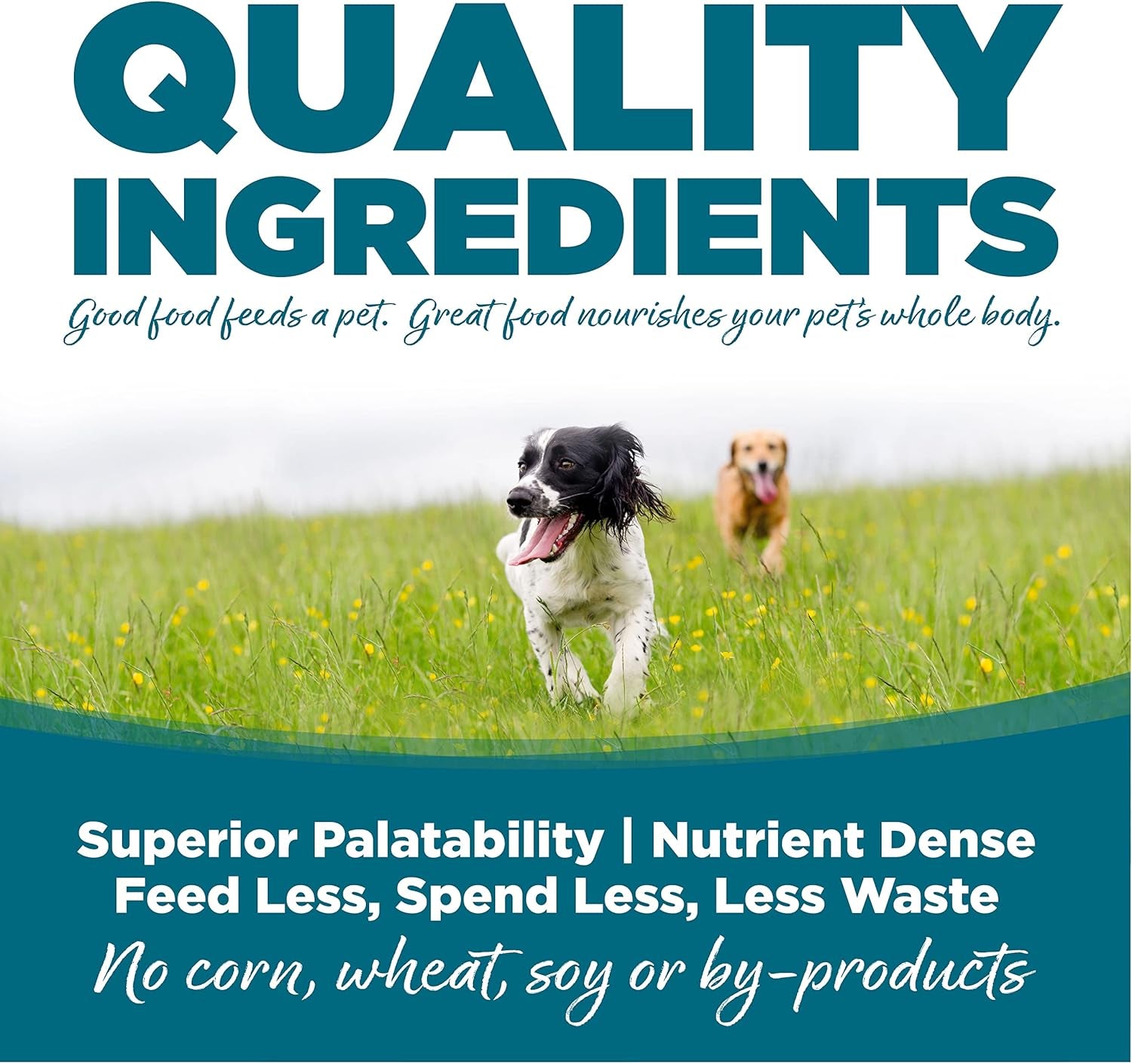 nutrisource-adult-dry-dog-food-chicken-rice-26-lb-probiotic-prebiotic-digestive-support-healthy-skin-coat-no-corn-wheat-or-soy