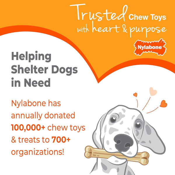 Nylabone Power Chew Dental Groove Bone Dog Chew Toy, Flavor Medley, Small | Teeth-Cleaning Textures, Durable Dog Toys for Aggressive Chewers, Discourages Destructive Chewing, for Dogs up to 25 Lbs9