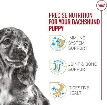 ROYAL CANIN Breed Health Nutrition Dachshund Puppy Dry Dog Food, 2.5 Lb Bag | Specialized Nutrition for Dachshund Puppies, Supports Healthy Growth, Tailored Kibble Shape, 2.5 Pound Bag4