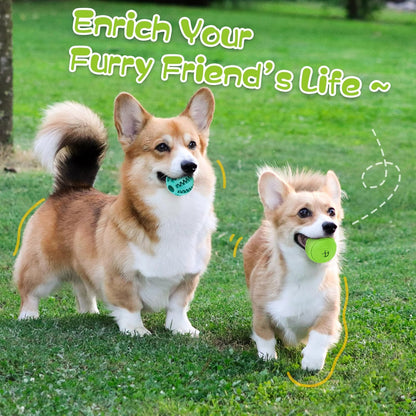 HIPPIH Dog Puzzle Toy 2 Pack, Interactive Dog Toys for Treat Dispensing, Durable Puppy Toys for Teething, Dog Treat Ball for Teeth/Slow Feeder/Iq Training/Playing, Blue-2.75‘’, Green-3.14‘’6