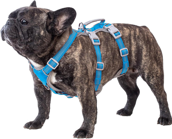 Huntboo Escape Proof Dog Harness, Escape Artist Harness, Reflective Harness with Padded Handle, Breathable, Durable, Adjustable Vest for Medium Dogs Walking, Training, and Running Gear (Blue, M)1