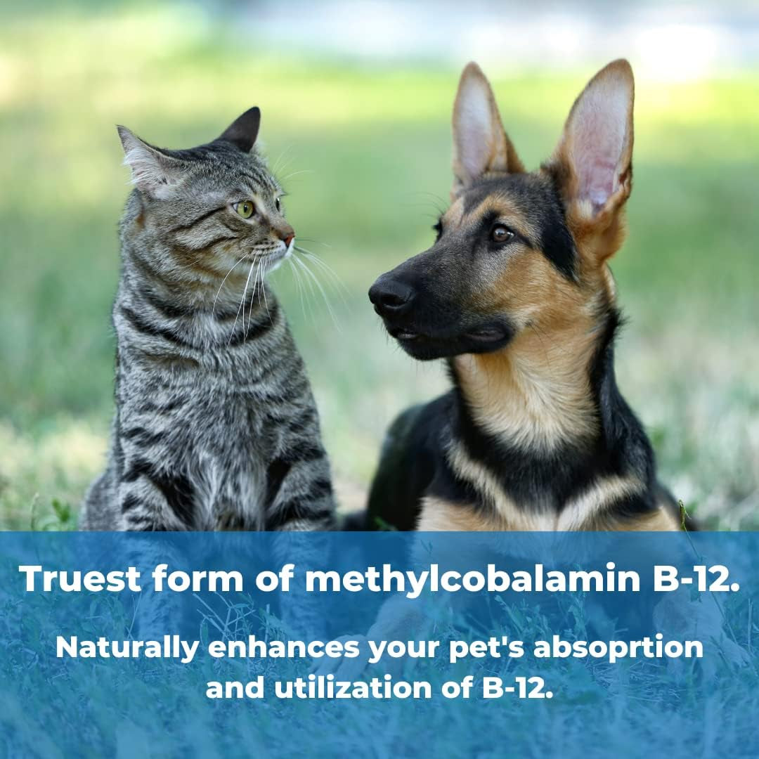 pet-factor-b-12-vitamin-b-12-in-methylcobalamin-form-popular-in-treatment-of-epi-in-dogs-180-capsules