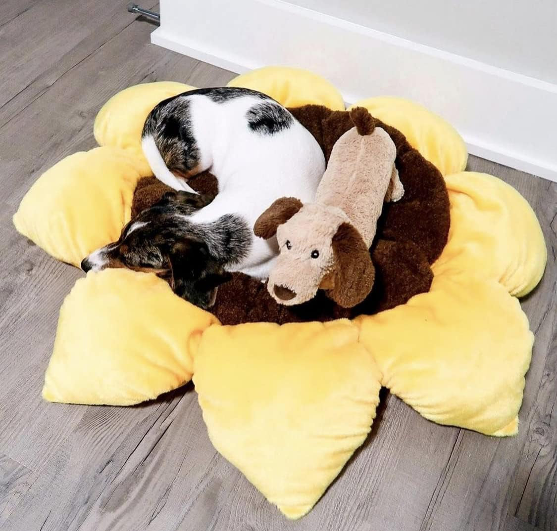 tonbo-soft-plush-small-cute-and-cozy-nature-dog-cat-bed-washer-and-dryer-friendly-sunflower