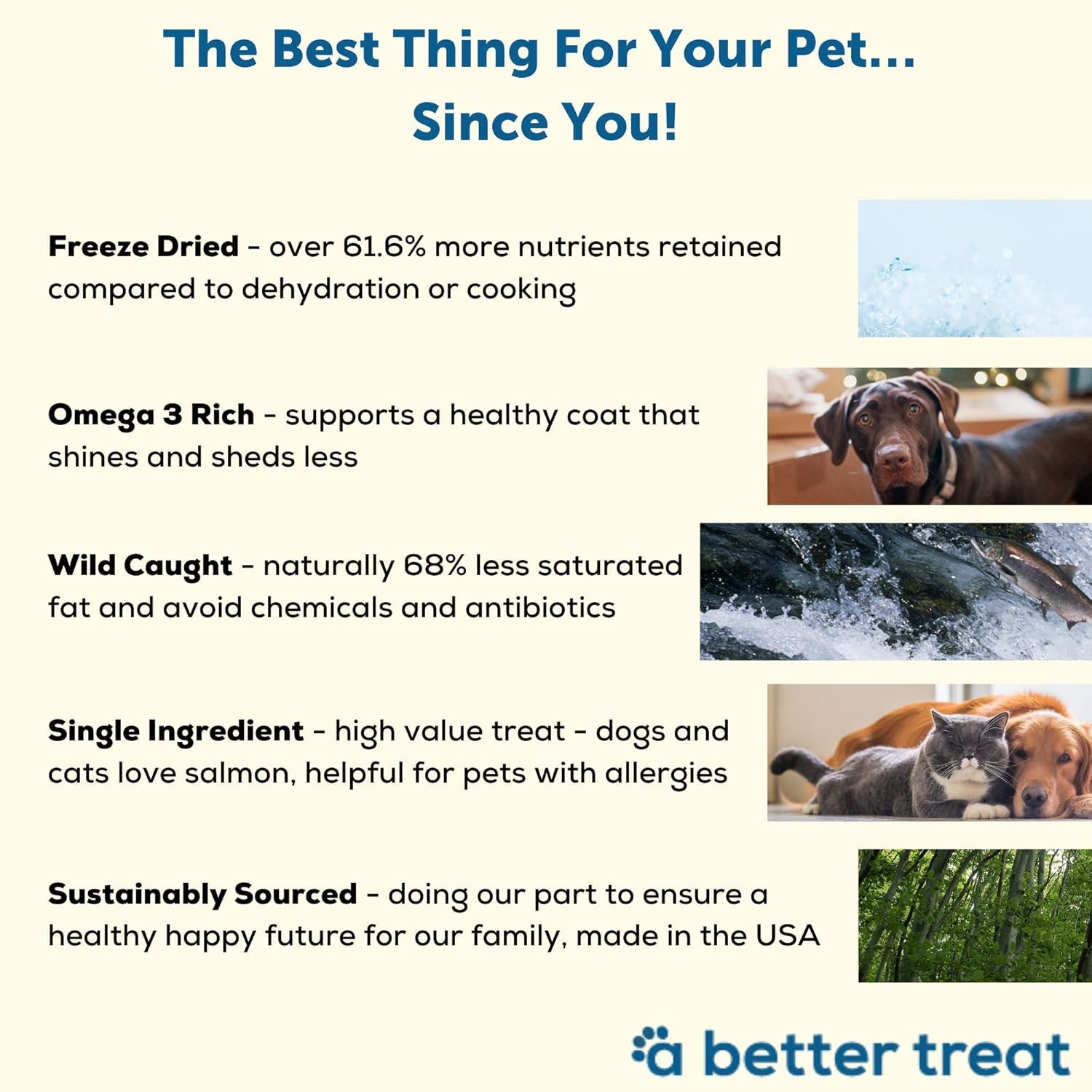 a-better-treat-freeze-dried-salmon-dog-treats-wild-caught-single-ingredient-natural-high-value-gluten-free-grain-free-high-protein-diabetic-friendly-natural-fish-oil-made-in-the-usa