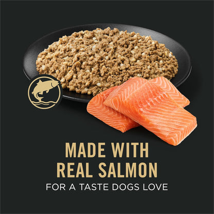 Purina Pro Plan Sensitive Skin and Stomach Dog Food Wet Classic Pate Salmon and Rice Entrée - (Pack of 12) 13 Oz. Cans2