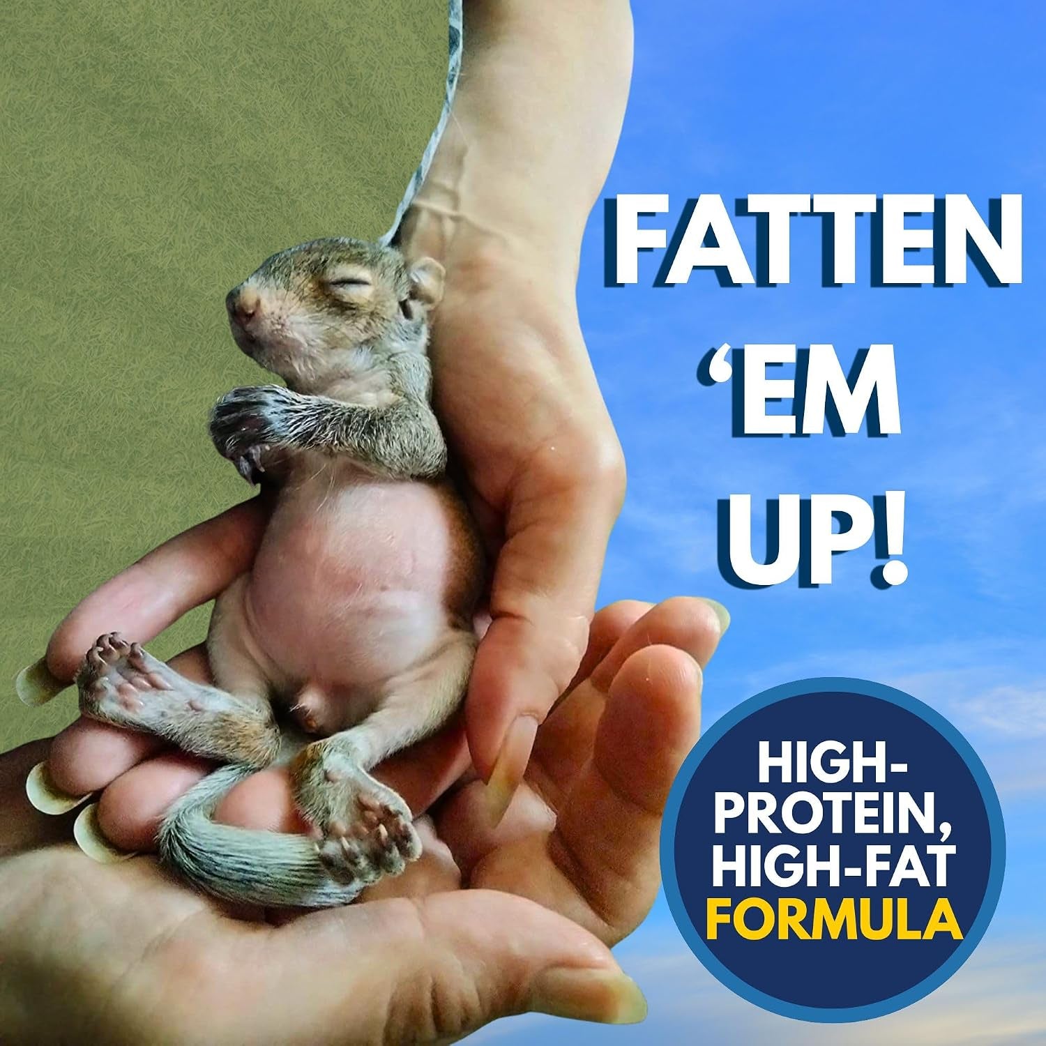milk-replacer-healthy-powdered-formula-ideal-for-baby-squirrels-rabbits-opossums-raccoons-100-instantized-for-mixing-digestible-proteins-8-8oz-specialty-milk-replacer-8-8-oz