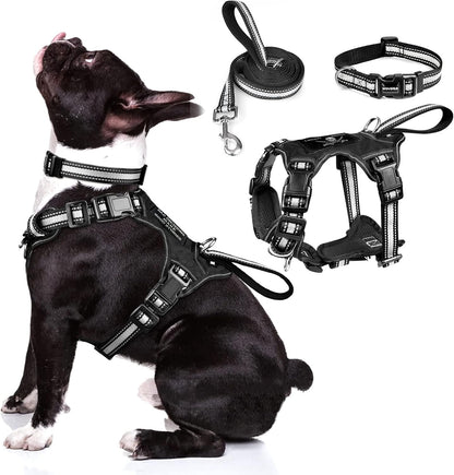 WINSEE Pet Harness Collar and Leash Set, All-In-One Reflective Dog Harness No Pull with Adjustable Buckles for Puppies, Small, Medium, Large, and Extra-Large Dogs (Large, Pink)20
