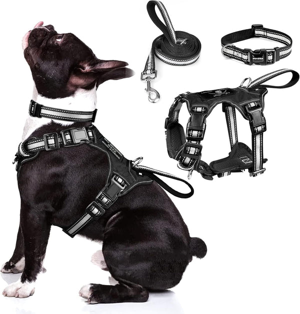 WINSEE Pet Harness Collar and Leash Set, All-In-One Reflective Dog Harness No Pull with Adjustable Buckles for Puppies, Small, Medium, Large, and Extra-Large Dogs (Large, Pink)20