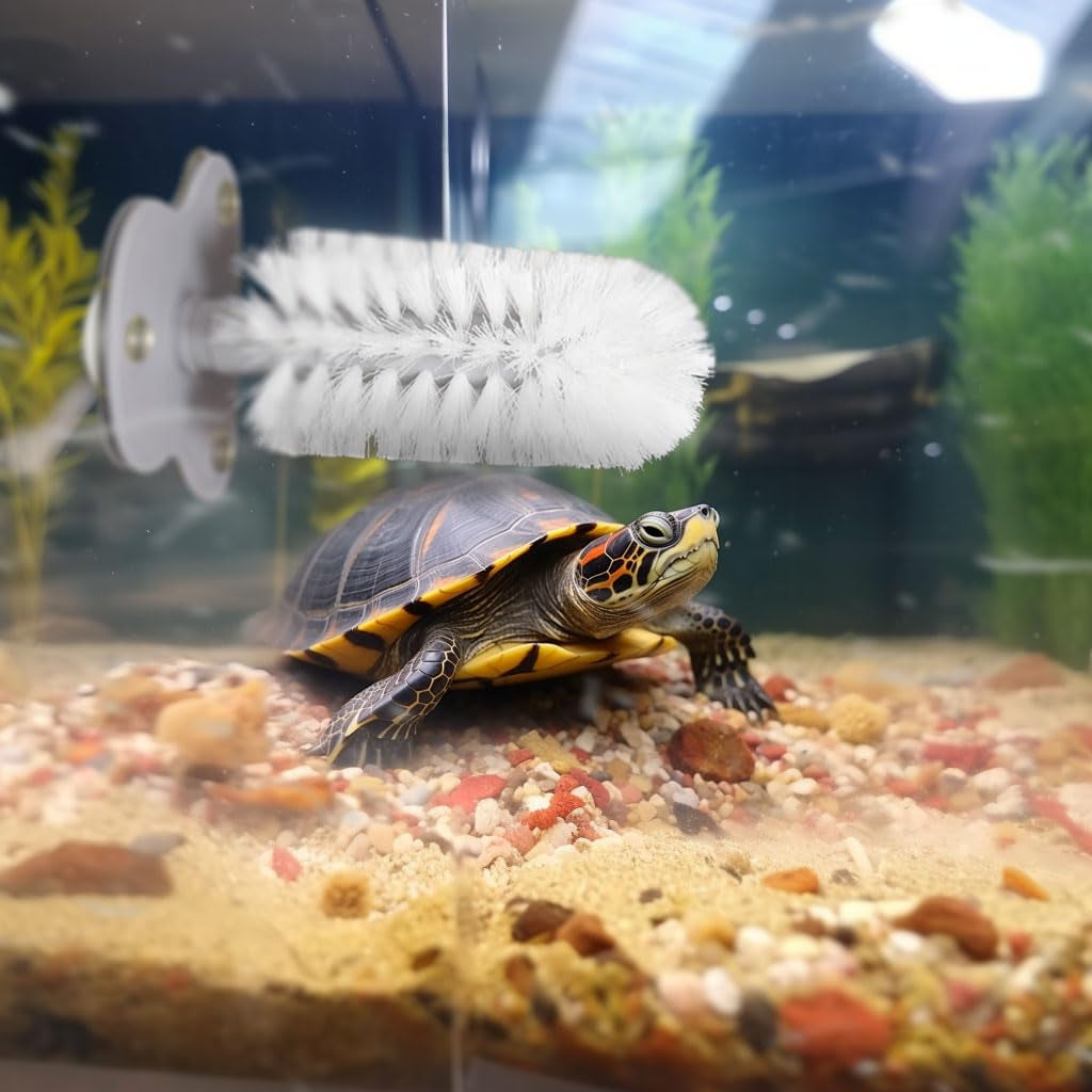 turtle-brush-with-suction-cup-for-tank-three-high-suction-power-suction-cup-turtle-shell-cleaning-brush-white