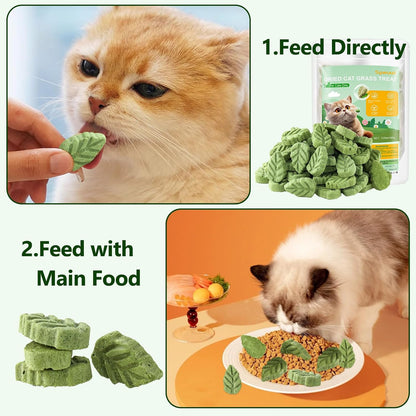 100G/3.52Oz Cat Grass Treats, Cat Grass Teething Stick for Hairball Remove and Teeth Cleaning, Edible Cats-Grass Stick Snack9