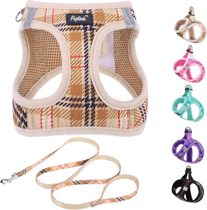 PUPTECK Dog Harness and Leash Set for Small Medium Dogs No Pull Step-In Soft Mesh Puppy Cat Vest Harnesses Reflective at Night, Green S16