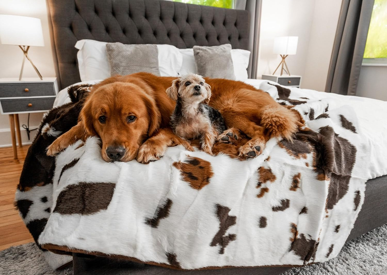 paw-brands-pupprotector-waterproof-throw-blanket-white-brown-60x50-waterproof-machine-washable-protects-couches-beds-car-seats