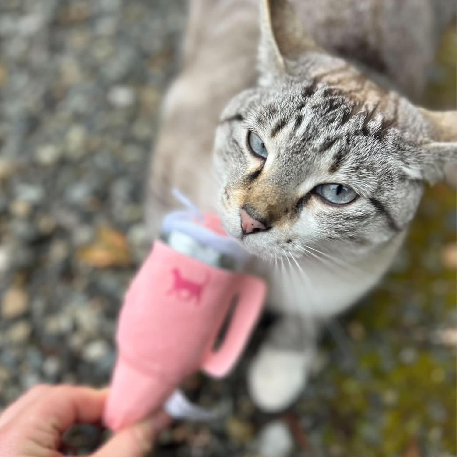 puproar-kitty-cup-catnip-cat-toy-cat-birthday-gift-cute-girly-accessory-crinkle-toy-for-indoor-cats-pink-peach-dust