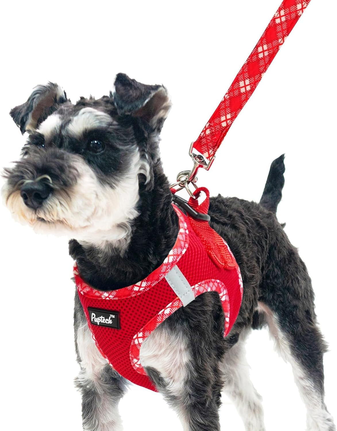 pupteck-dog-harness-and-leash-set-for-small-medium-dogs-no-pull-step-in-soft-mesh-puppy-cat-vest-harnesses-reflective-at-night-green-s