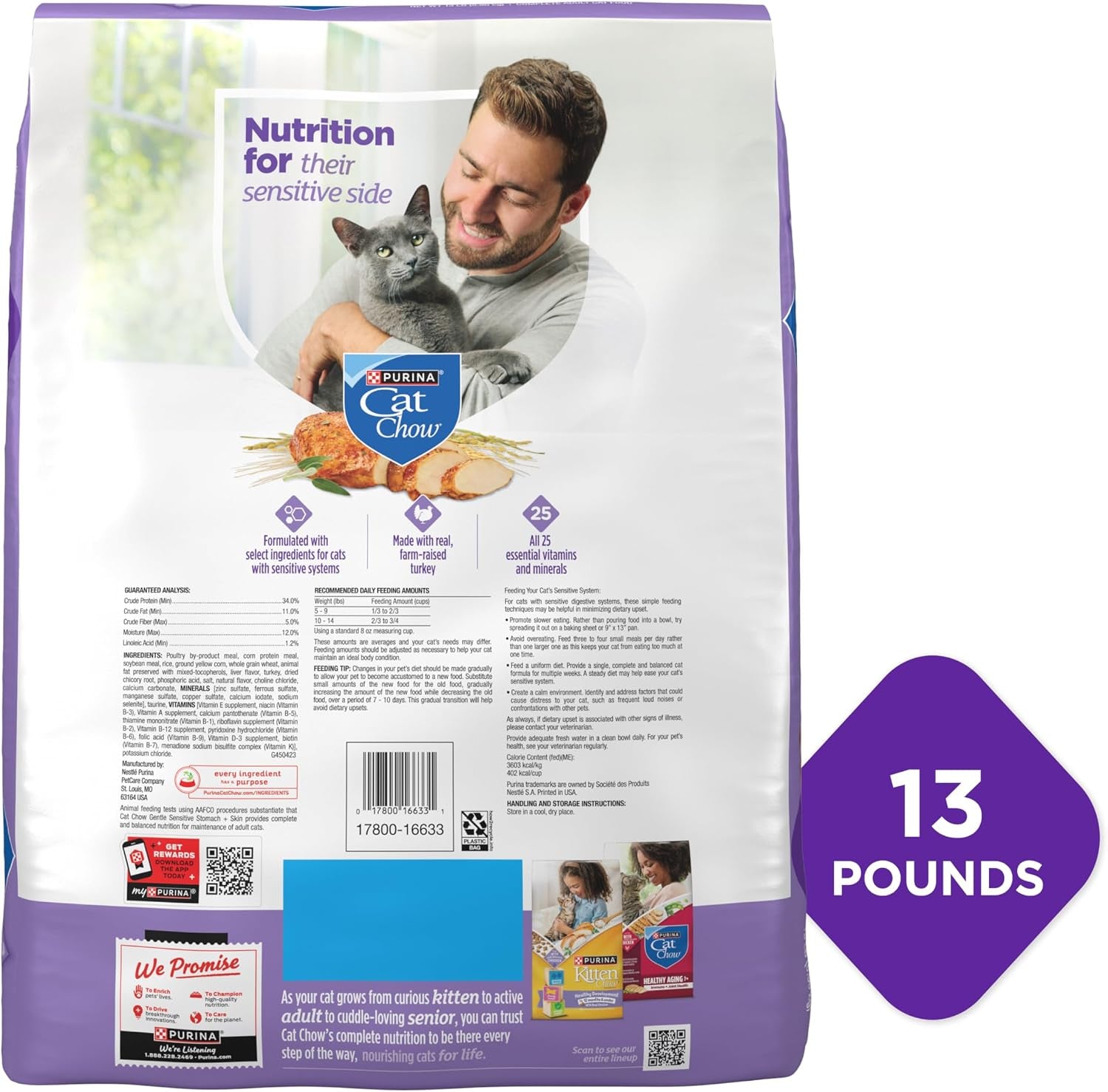 purina-cat-chow-gentle-sensitive-stomach-and-skin-dry-cat-food-with-turkey-13-lb-bag