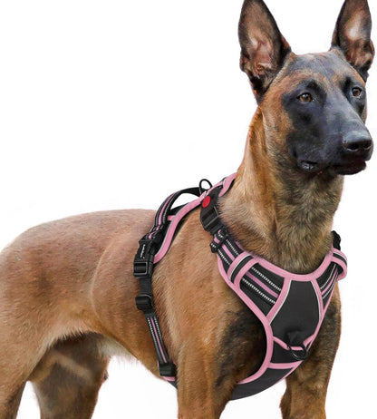 Rabbitgoo Dog Harness Medium Sized, Updated Easy on & off with 3 Buckles | No Pull No Choke, Walking with 2 Clips and Handle, Adjustable Soft Reflective, Blue, Medium40