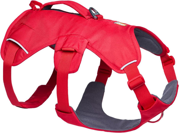 Ruffwear, Web Master, Multi-Use Support Dog Harness, Hiking and Trail Running, Service and Working, Everyday Wear, Basalt Gray, X-Small13