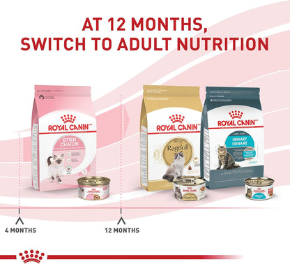 ROYAL CANIN Feline Health Nutrition Kitten Thin Slices in Gravy Cat Food, 3 Oz (Pack of 12) | for Growing Kittens, Tender Thin Slices, Savory Gravy Formula, Twelve Individual 3 Oz Cans6