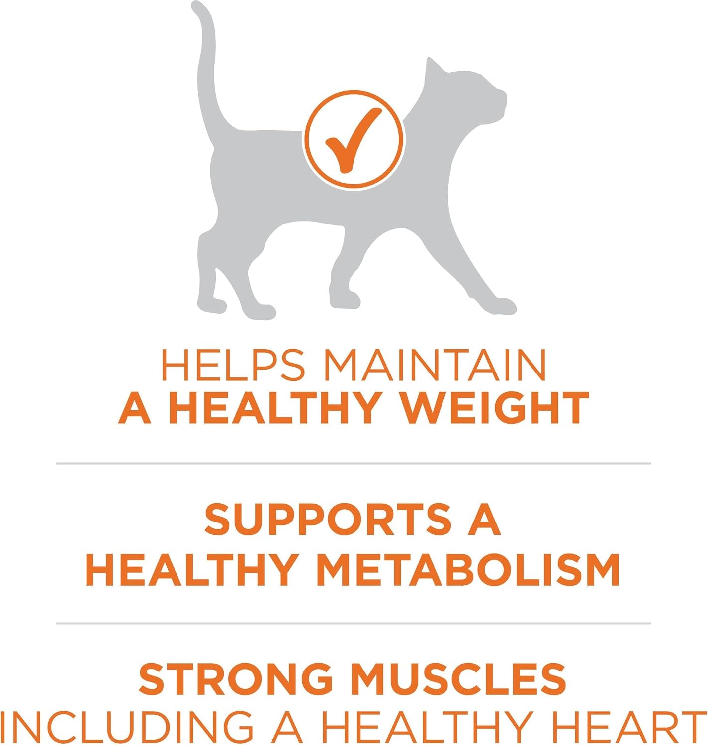 purina-one-high-protein-healthy-plus-ideal-with-chicken-dry-cat-food-control-formula-7-lb-bag