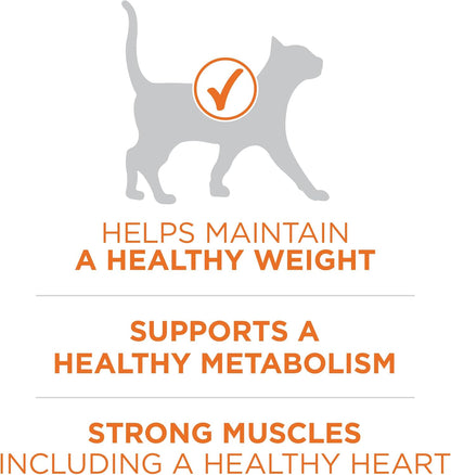 Purina ONE High Protein, Healthy plus Ideal with Chicken Dry Cat Food Control Formula - 7 Lb. Bag3
