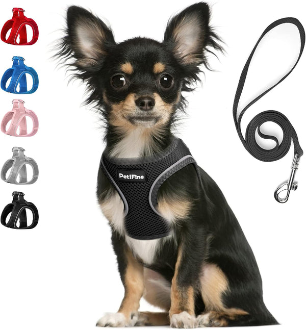 Small Dog Harness and Leash Set Breathable Step-In Puppy Cat Harness,Xs | Reflective for Safe Easy Walking,Soft Light Puppy Vest,Escape Proof,No Pull Harness for Dogs,All Weather Air Mesh Harness27