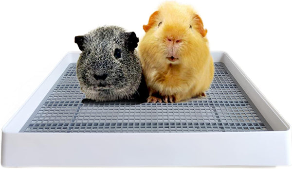 PODOO Rabbit Litter Box – Training Potty Tray for Guinea Pig & Small Pets · Spacious Grid Pan with Low Entrance, Easy-Clean & Odor-Resistant—Helps Keep a Clean Cage and Reduce Mess | Low-Entry Litter Tray with Removable Grate for Cleaner Small-Pet Cages; Approx. 14.6 X 11.8 X 2.6 In.1