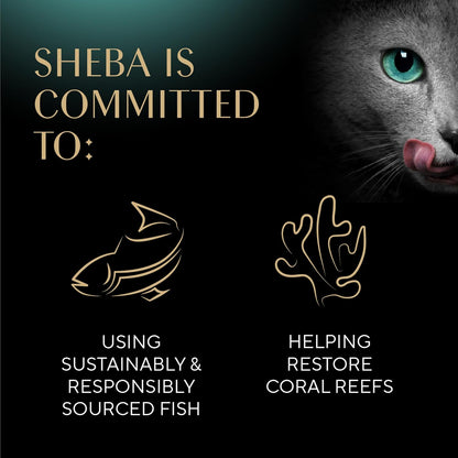 Sheba Perfect Portions Kitten Pate Wet Cat Food, Multipack, 2.6 Oz, 24 Ct | DHA for Brain Development, Vitamin E for Immunity, Real Meat, All Essential Amino Acids, Complete & Balanced, 48 Servings9