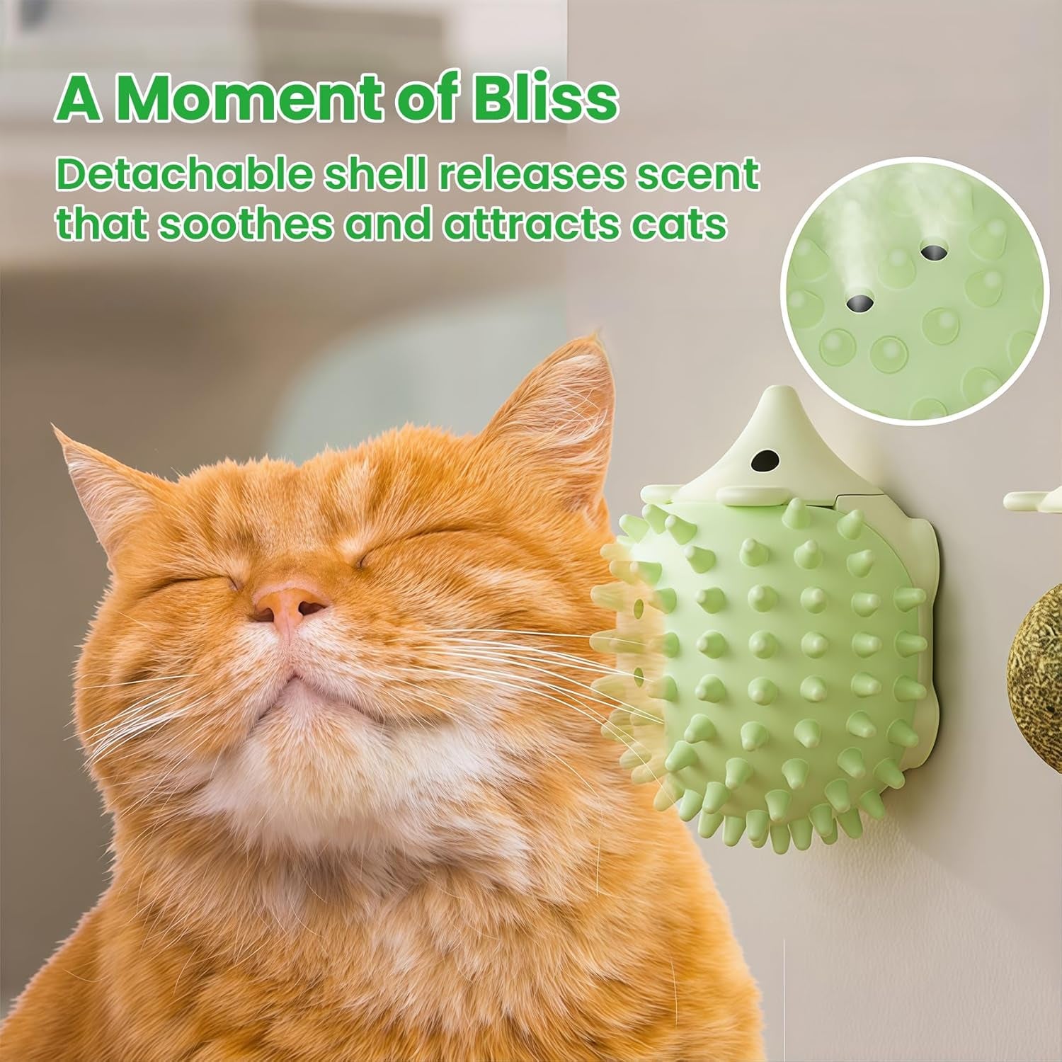 6-pcs-catnip-ball-toys-with-rubbing-shell-lickable-roller-catnip-toys-for-cats-chew-edible-and-refillable-kitten-toys-teeth-cleaning-dental-indoor-cat-treats-toys-3-shells-6-balls