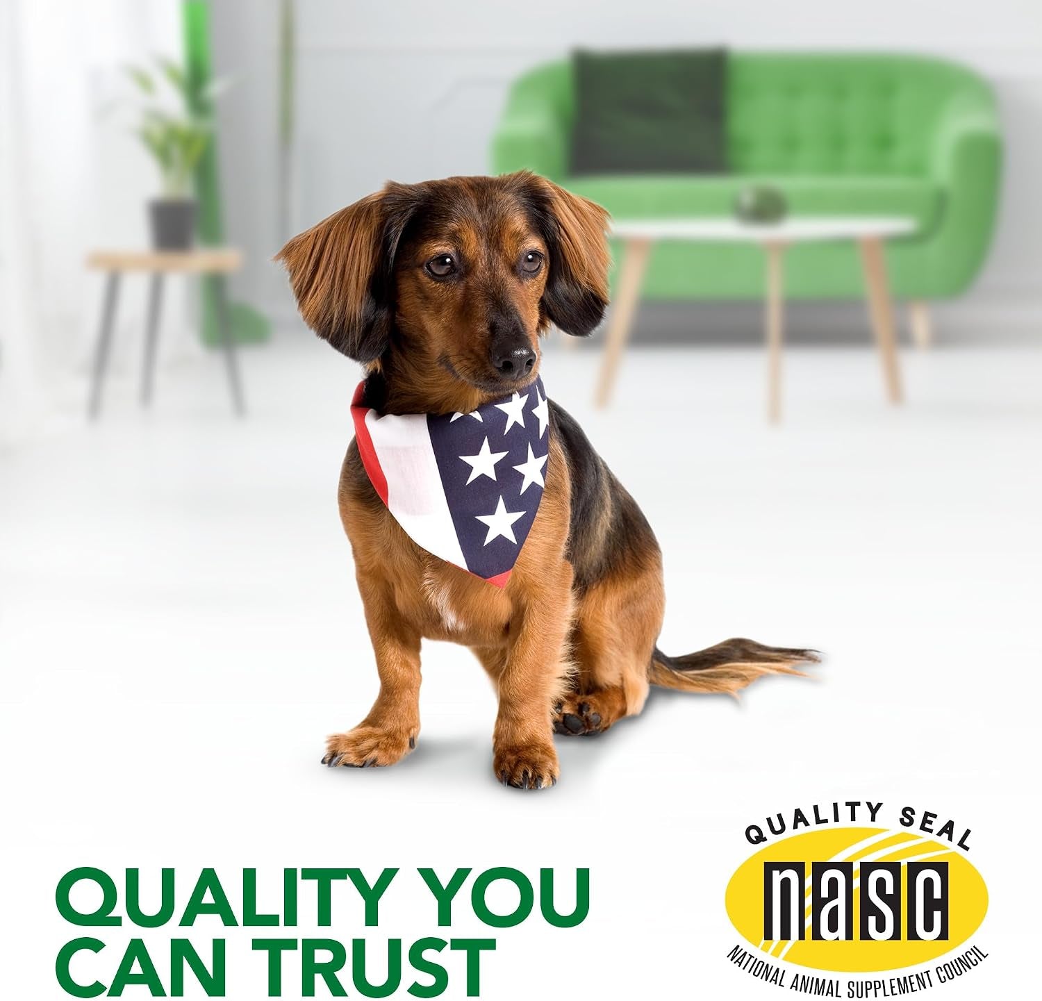 vets-best-seasonal-allergy-chewable-tablets-for-dogs-soothes-dog-60ct-seasonal-allergy-relief-tablets-helps-soothe-itchy-skin-supports-healthy-skin-coat-daily-chewable-formula