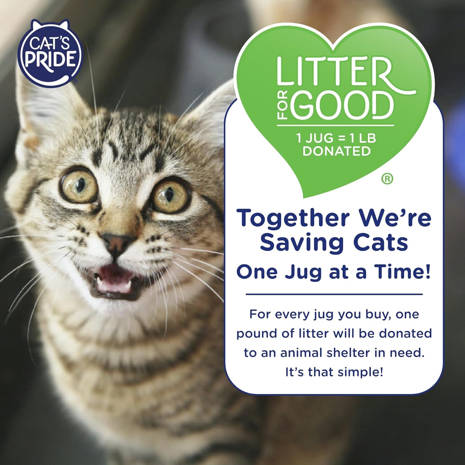 cats-pride-antibacterial-cat-litter-destroys-99-9-of-odor-causing-bacteria-powerful-odor-control-premium-lightweight-clumping-litter-scented-12-pounds
