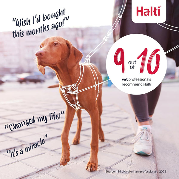 Halti No Pull Harness - Stop Your Dog Pulling on the Leash. Adjustable, Lightweight and Easy to Use. Reflective Dog Training Harness for Large Dogs (Size L, Black)7