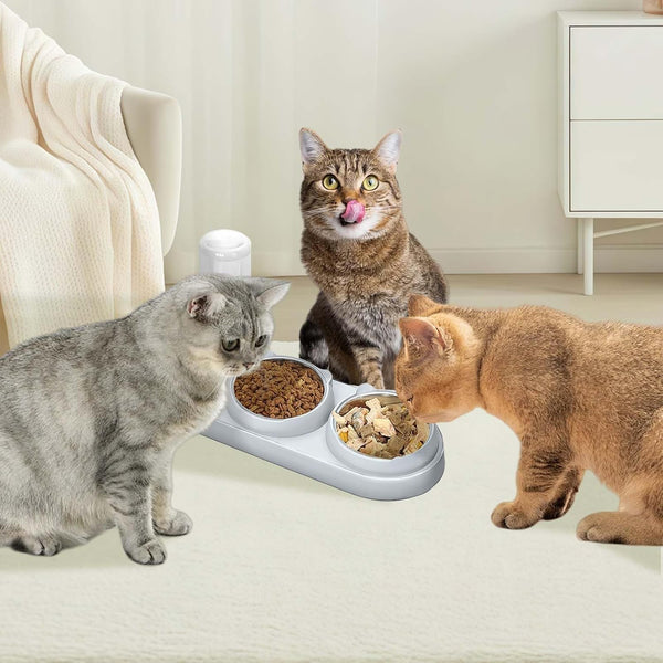 Marchul 3 in 1 Cat Bowl, Cat Food and Water Bowl Set with Water Dispenser and Stainless Steel Bowls, 15° Tilted Pet Raised Three Bowls for Indoor Cats, Small or Medium Sized Dogs6