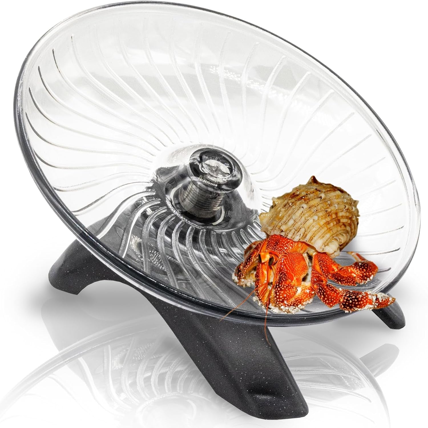hermit-crab-exercise-wheel-silent-running-wheel-for-crab-tank-accessories-small-animal-wheel-for-hamster-gerbils-hedgehogs