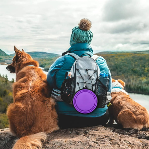 Collapsible Dog Bowls-2 Pack Large Size for Large/Medium Dogs, Pet Travel Water Bowl, Dogs Cat Portable Water Bowl, Dog Pet Feeding Watering Dish Outdoor Hiking Parking Traveling with 2 Carabiners6