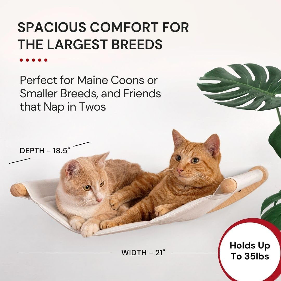 7-ruby-road-cat-wall-hammock-for-large-cats-cat-wall-bed-a-space-saving-wall-mounted-cat-bed-with-a-washable-replaceable-cushion-that-holds-big-cats-up-to-35-lbs